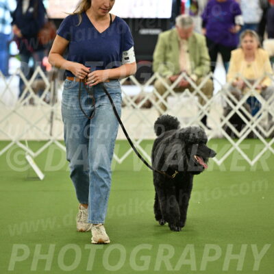 Ring-4-Afternoon-Rally_2310