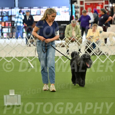 Ring-4-Afternoon-Rally_2312