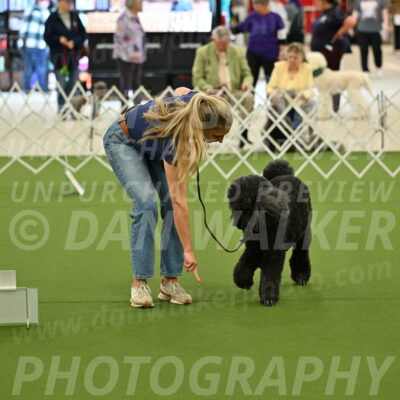 Ring-4-Afternoon-Rally_2314