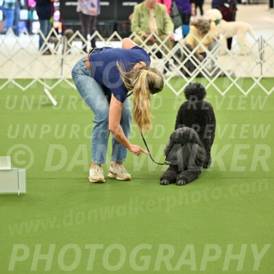 Ring-4-Afternoon-Rally_2317