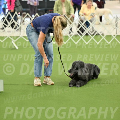 Ring-4-Afternoon-Rally_2320