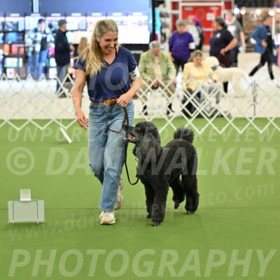 Ring-4-Afternoon-Rally_2322