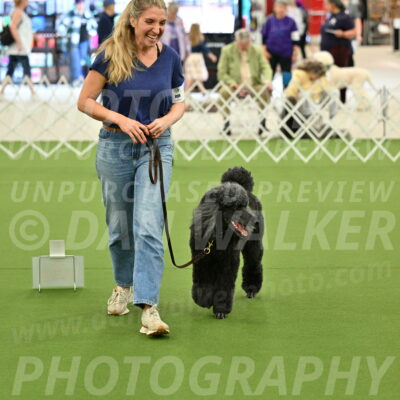 Ring-4-Afternoon-Rally_2324