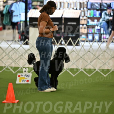 Ring-4-Afternoon-Rally_2330