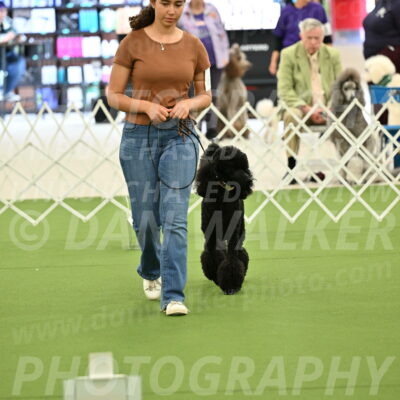 Ring-4-Afternoon-Rally_2333