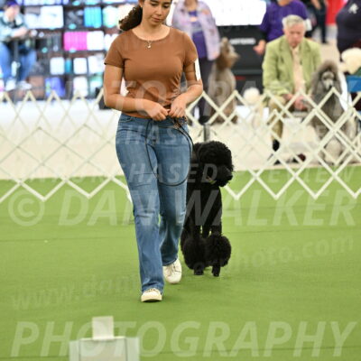 Ring-4-Afternoon-Rally_2335