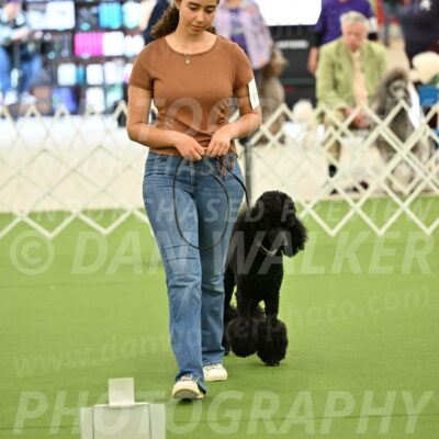 Ring-4-Afternoon-Rally_2337