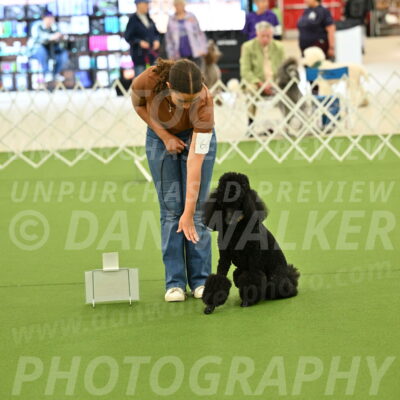 Ring-4-Afternoon-Rally_2340