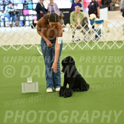 Ring-4-Afternoon-Rally_2341