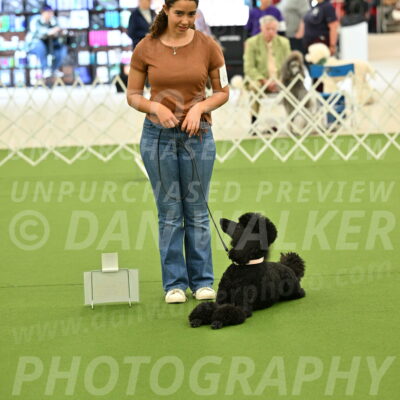 Ring-4-Afternoon-Rally_2343