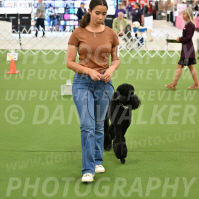 Ring-4-Afternoon-Rally_2345