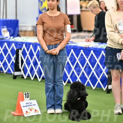 Ring-4-Afternoon-Rally_2369