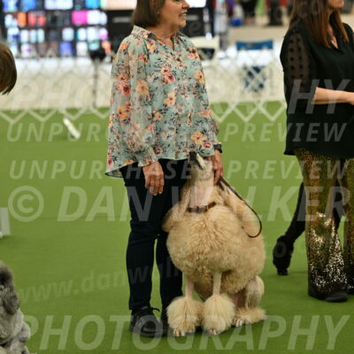 Ring-4-Afternoon-Rally_2370