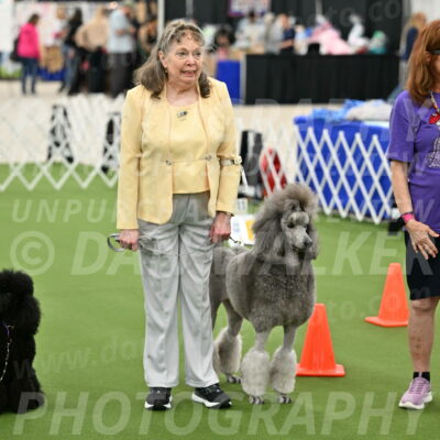 Ring-4-Afternoon-Rally_2371