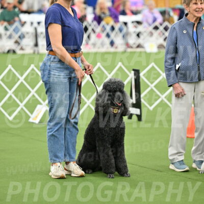 Ring-4-Afternoon-Rally_2375