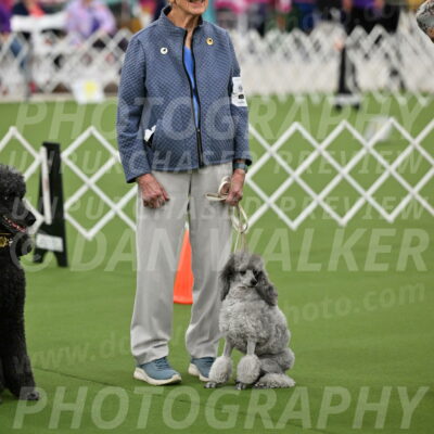 Ring-4-Afternoon-Rally_2376