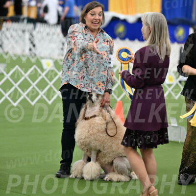 Ring-4-Afternoon-Rally_2378