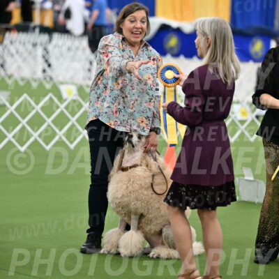 Ring-4-Afternoon-Rally_2379