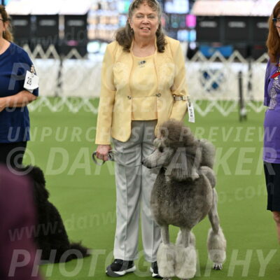 Ring-4-Afternoon-Rally_2382