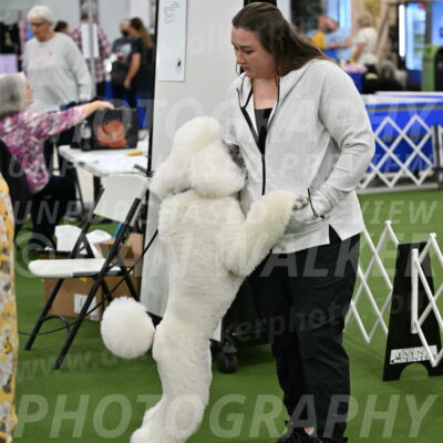 Ring-4-Afternoon-Rally_2391