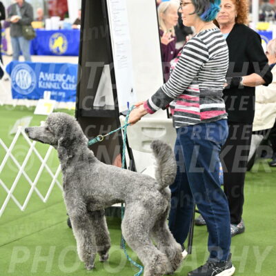 Ring-4-Afternoon-Rally_2393