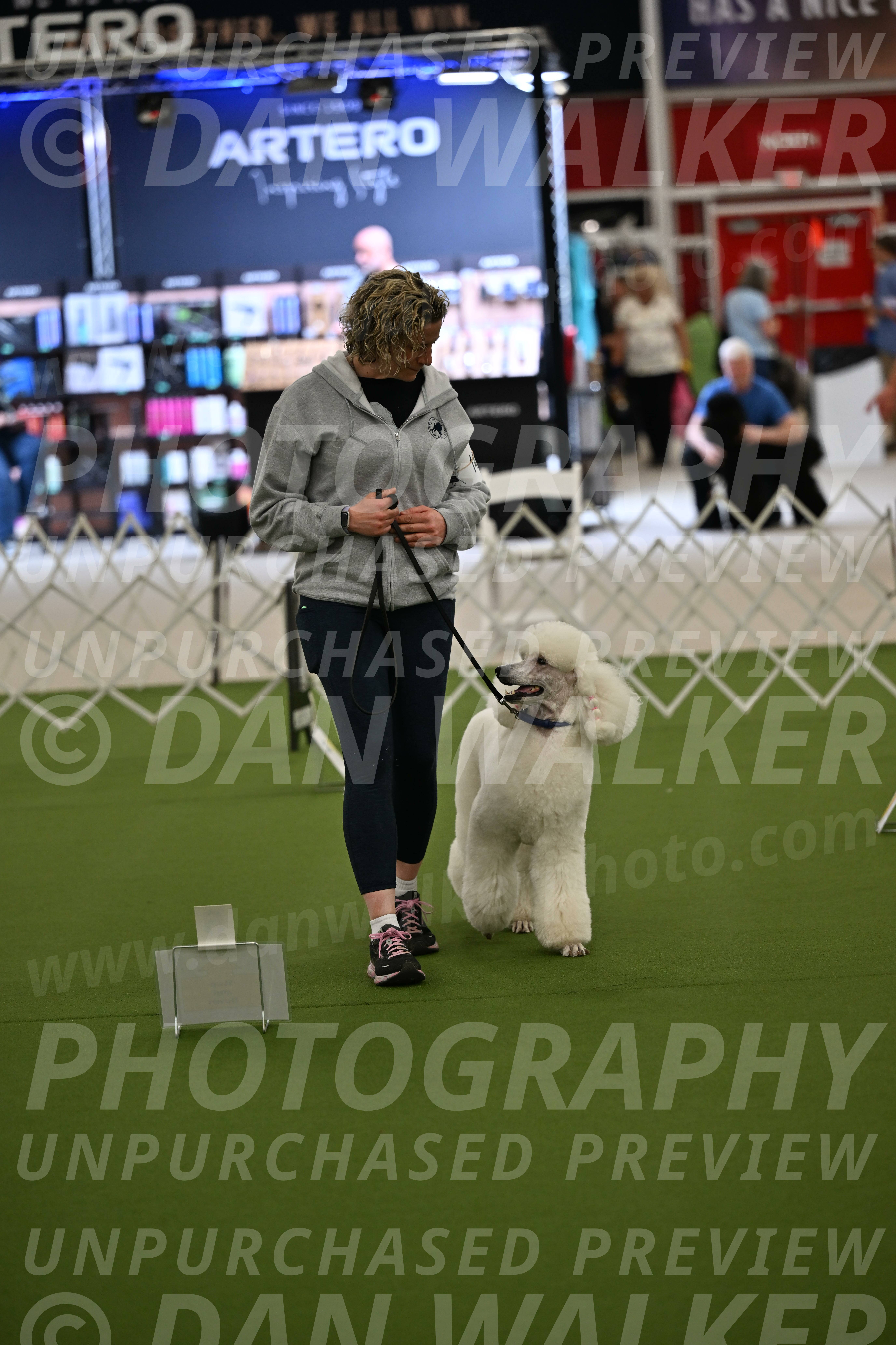 Ring-4-Afternoon-Rally_2563