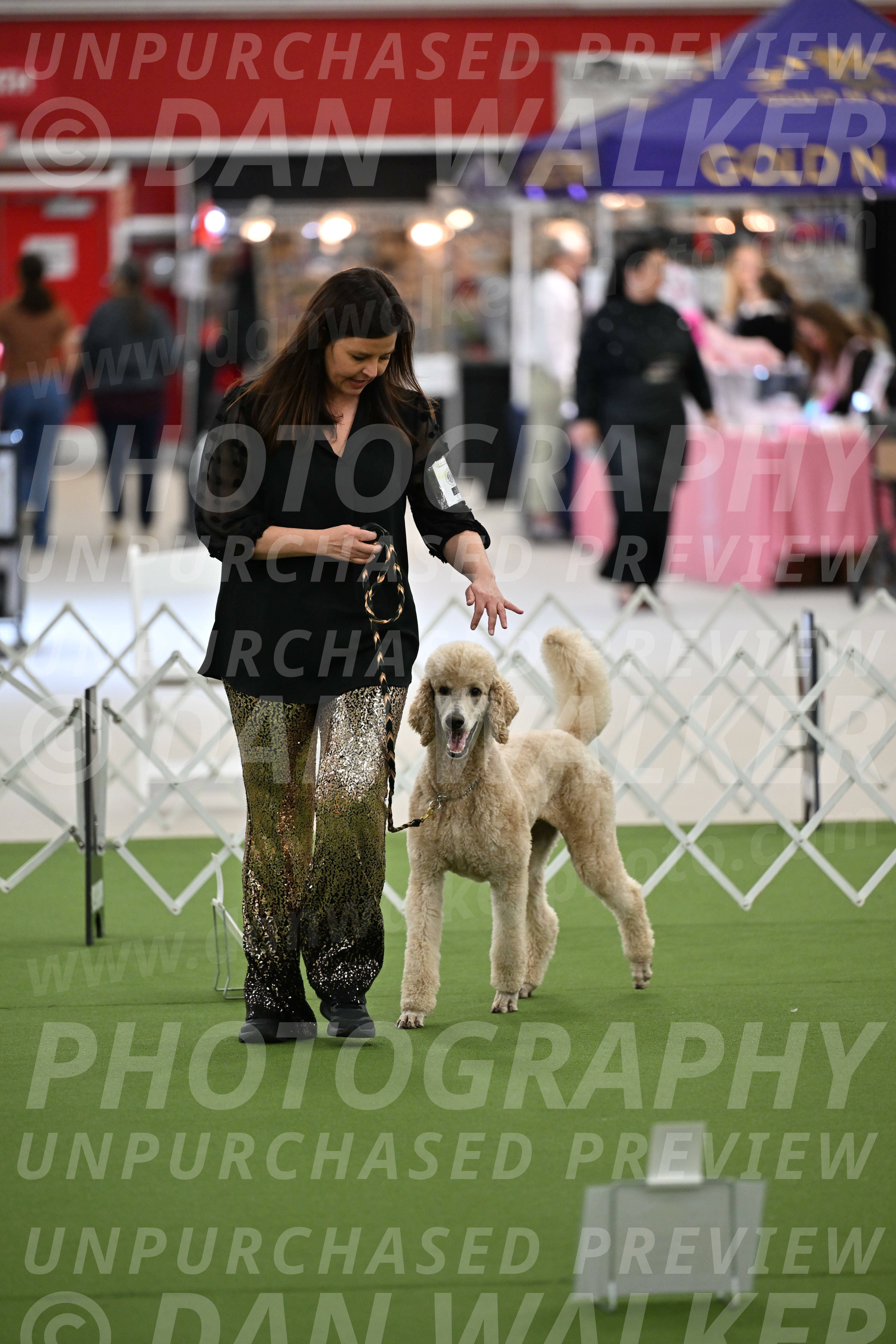 Ring-4-Afternoon-Rally_2584