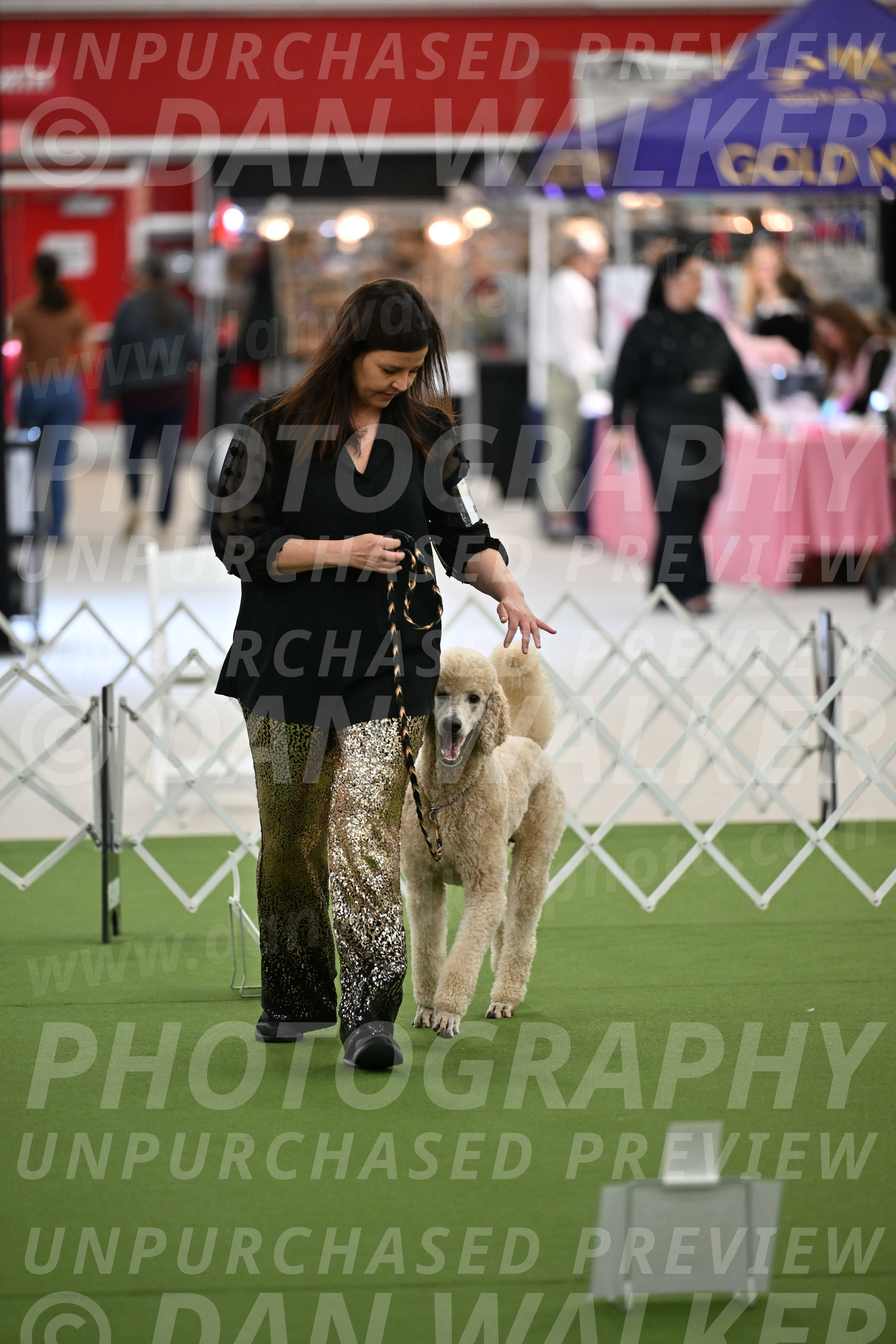 Ring-4-Afternoon-Rally_2586
