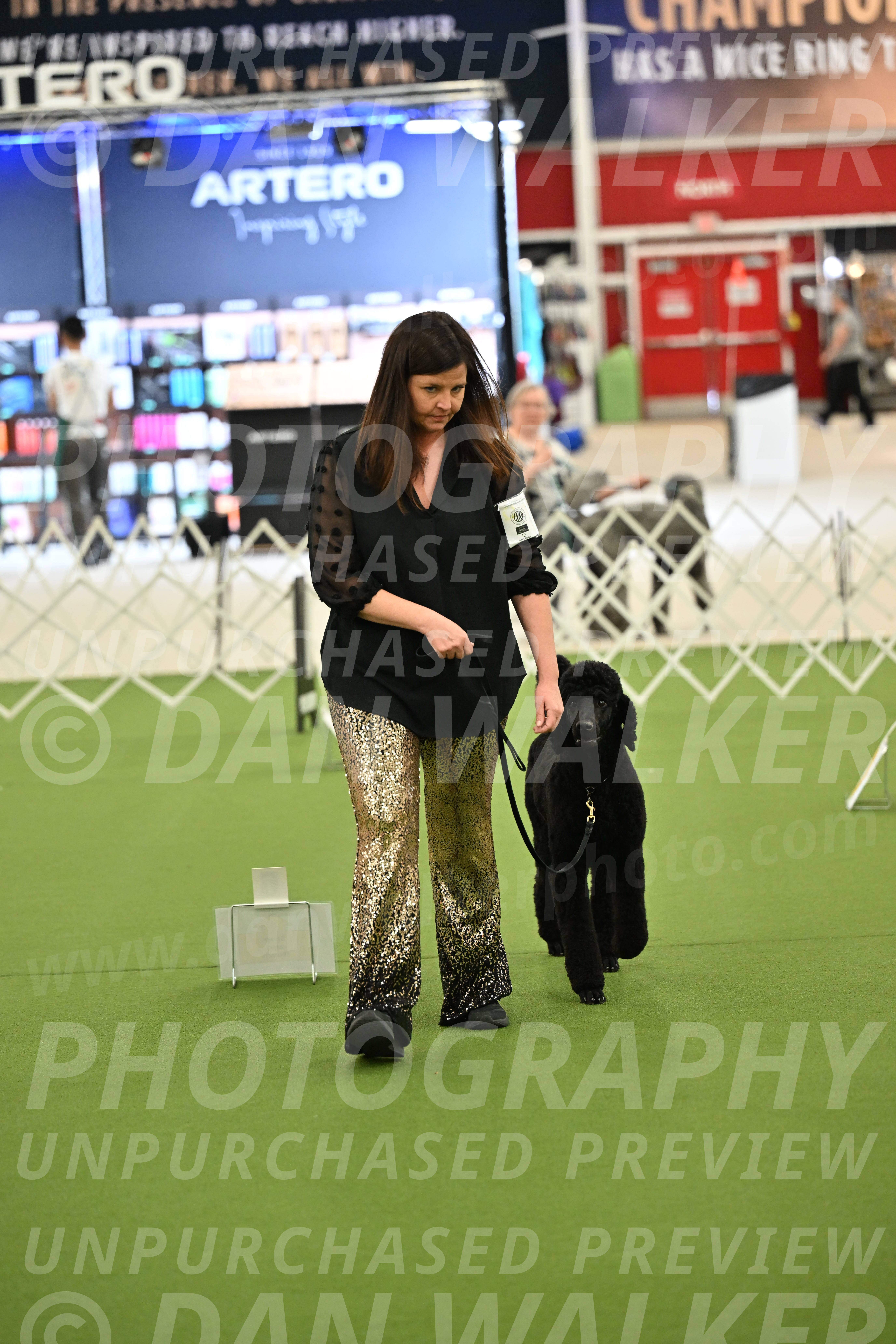 Ring-4-Afternoon-Rally_2600