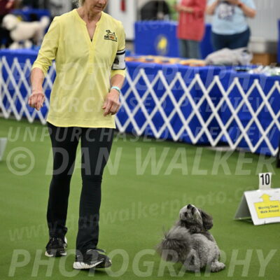 Ring-4-Morning-Rally_0198