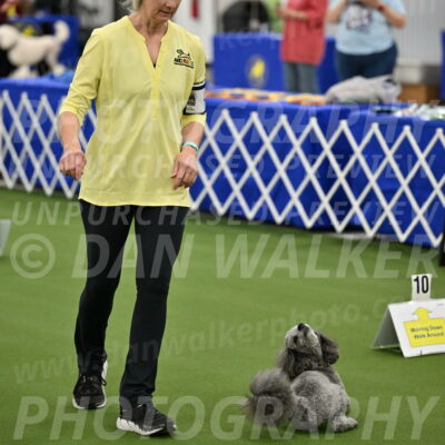 Ring-4-Morning-Rally_0199