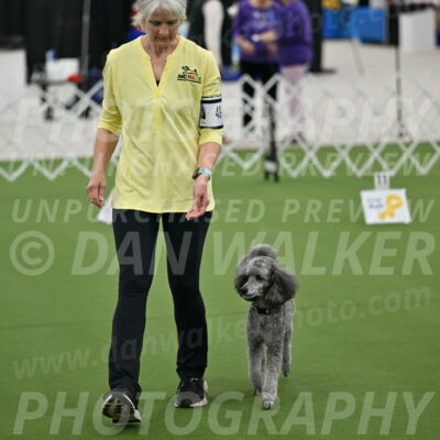 Ring-4-Morning-Rally_0211