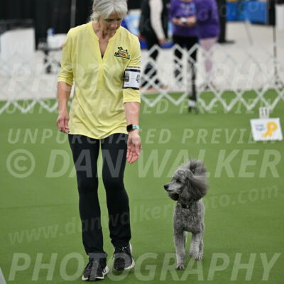 Ring-4-Morning-Rally_0212