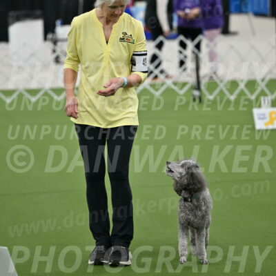 Ring-4-Morning-Rally_0214