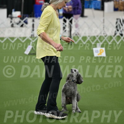 Ring-4-Morning-Rally_0216