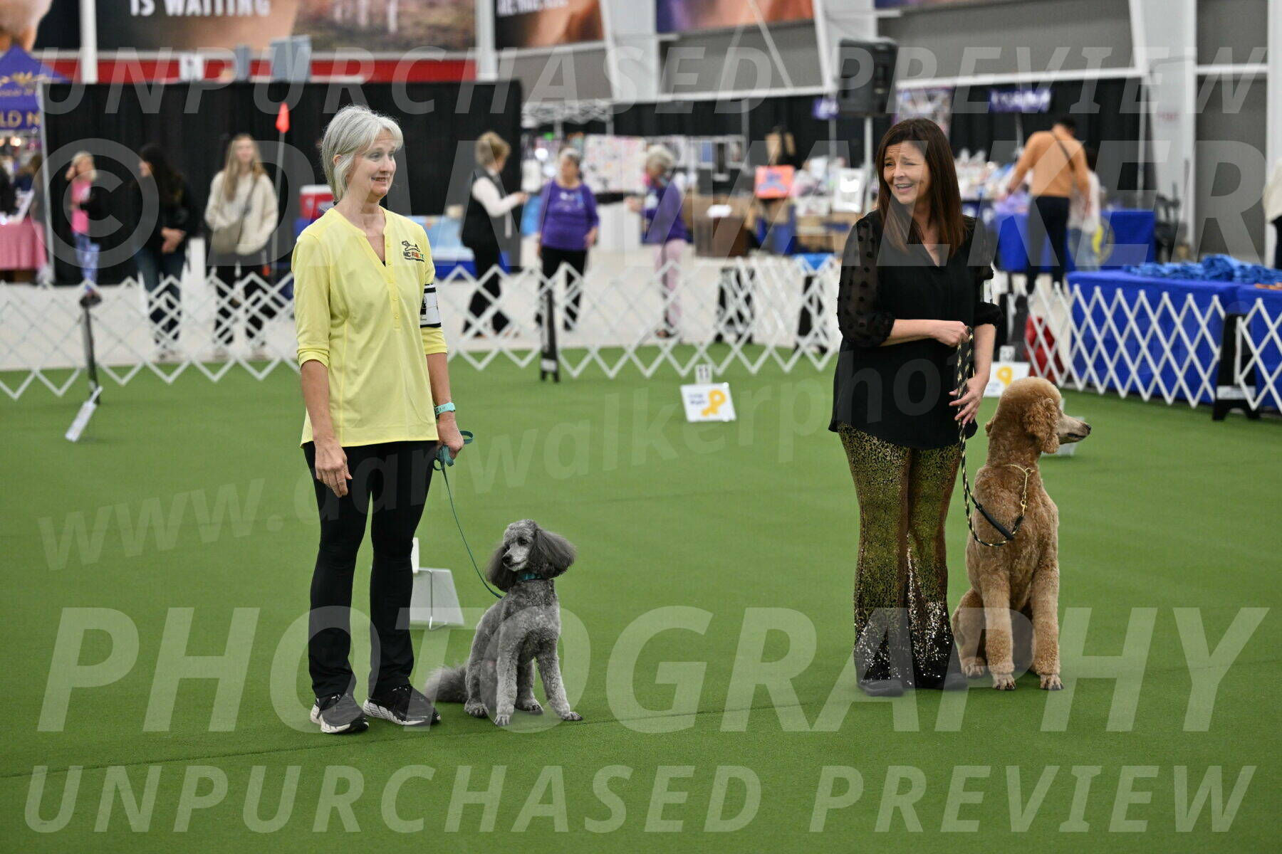 Ring-4-Morning-Rally_0275