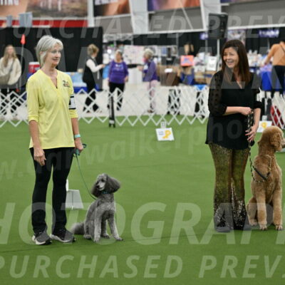 Ring-4-Morning-Rally_0275