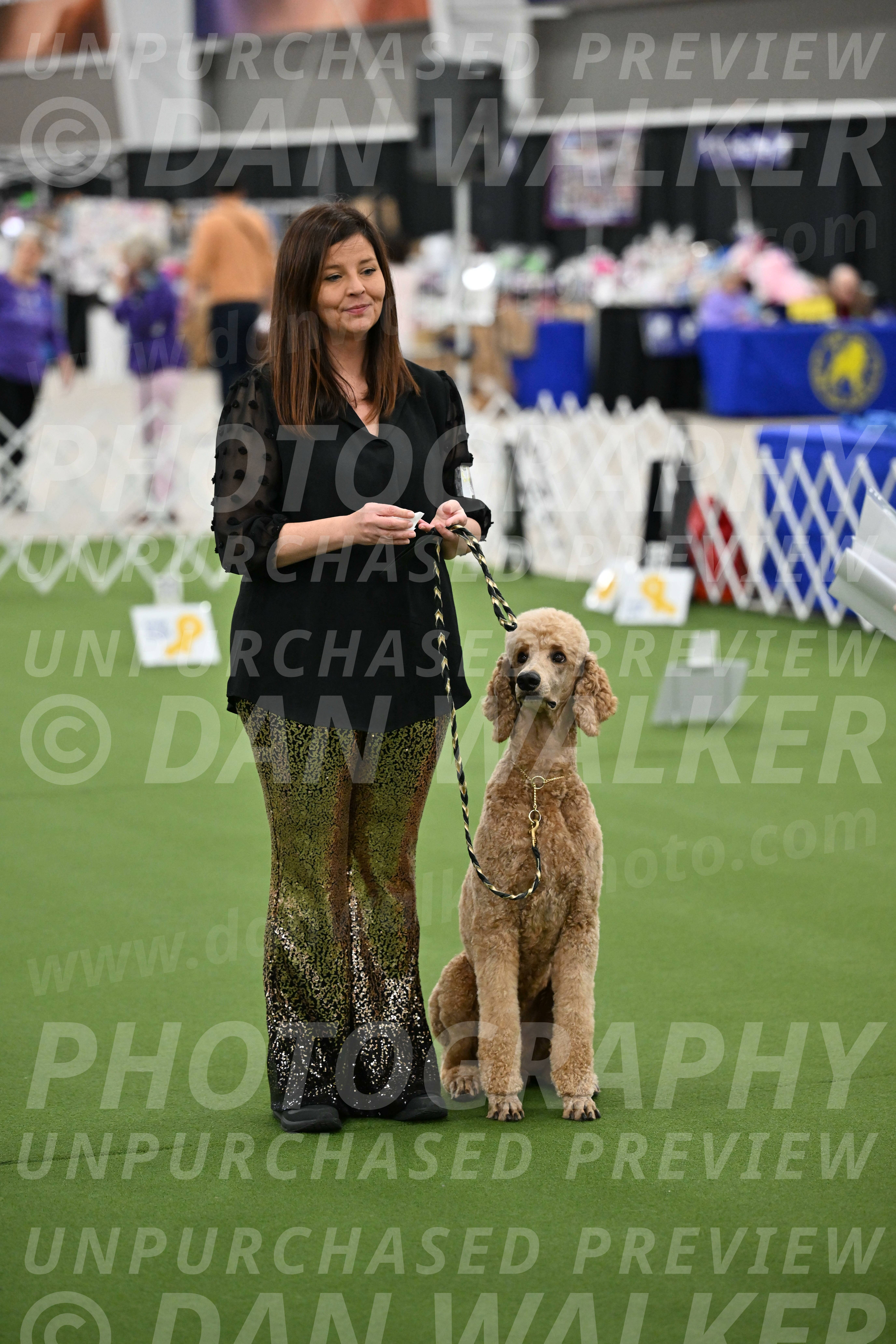 Ring-4-Morning-Rally_0280