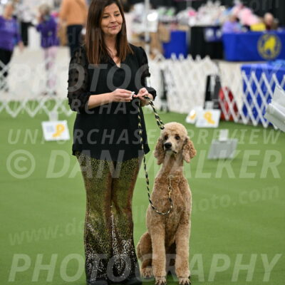 Ring-4-Morning-Rally_0280