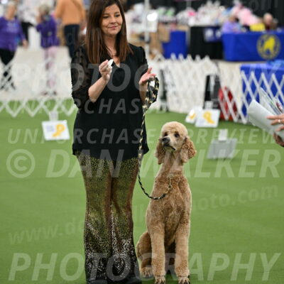 Ring-4-Morning-Rally_0282