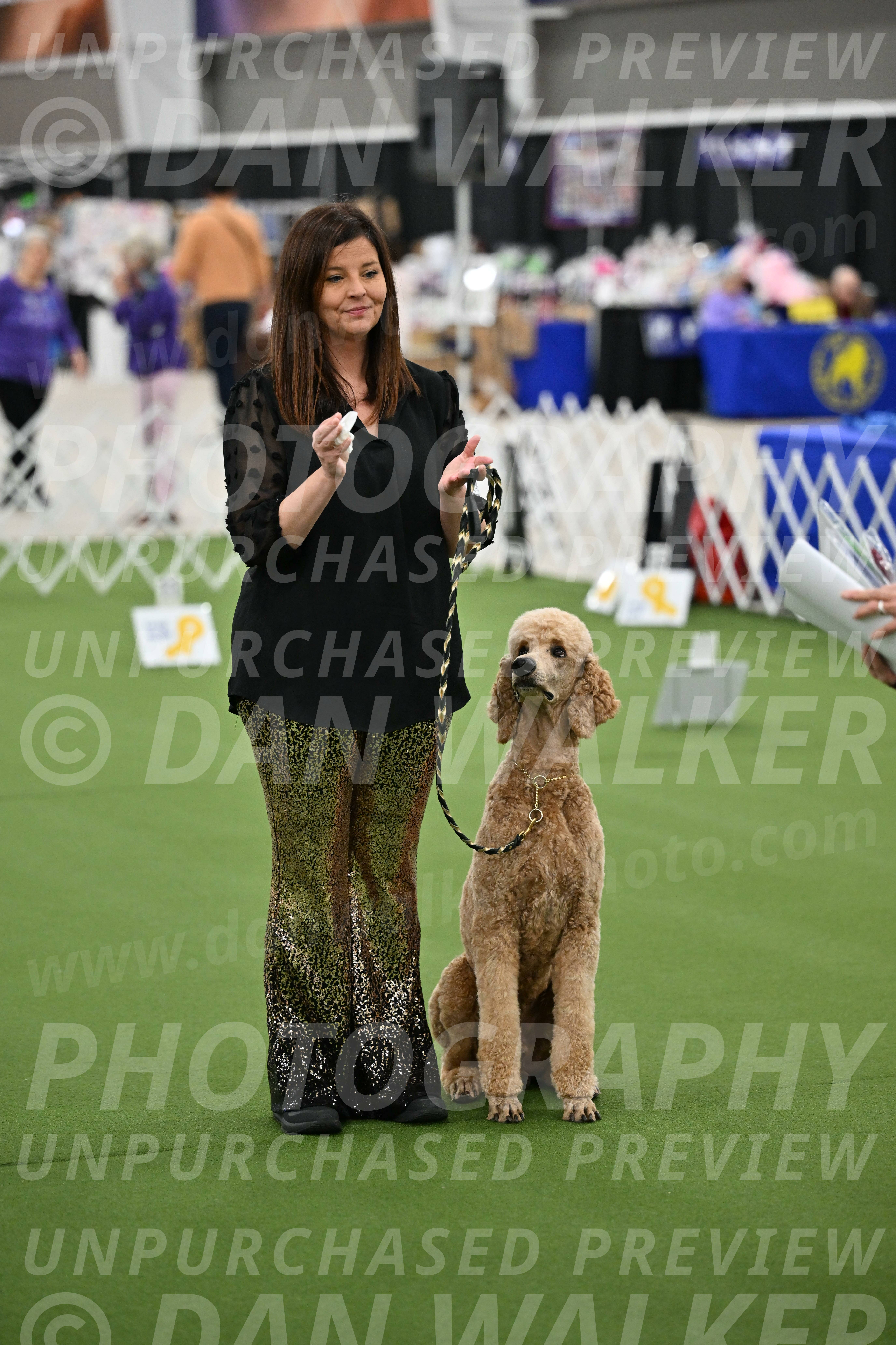 Ring-4-Morning-Rally_0282