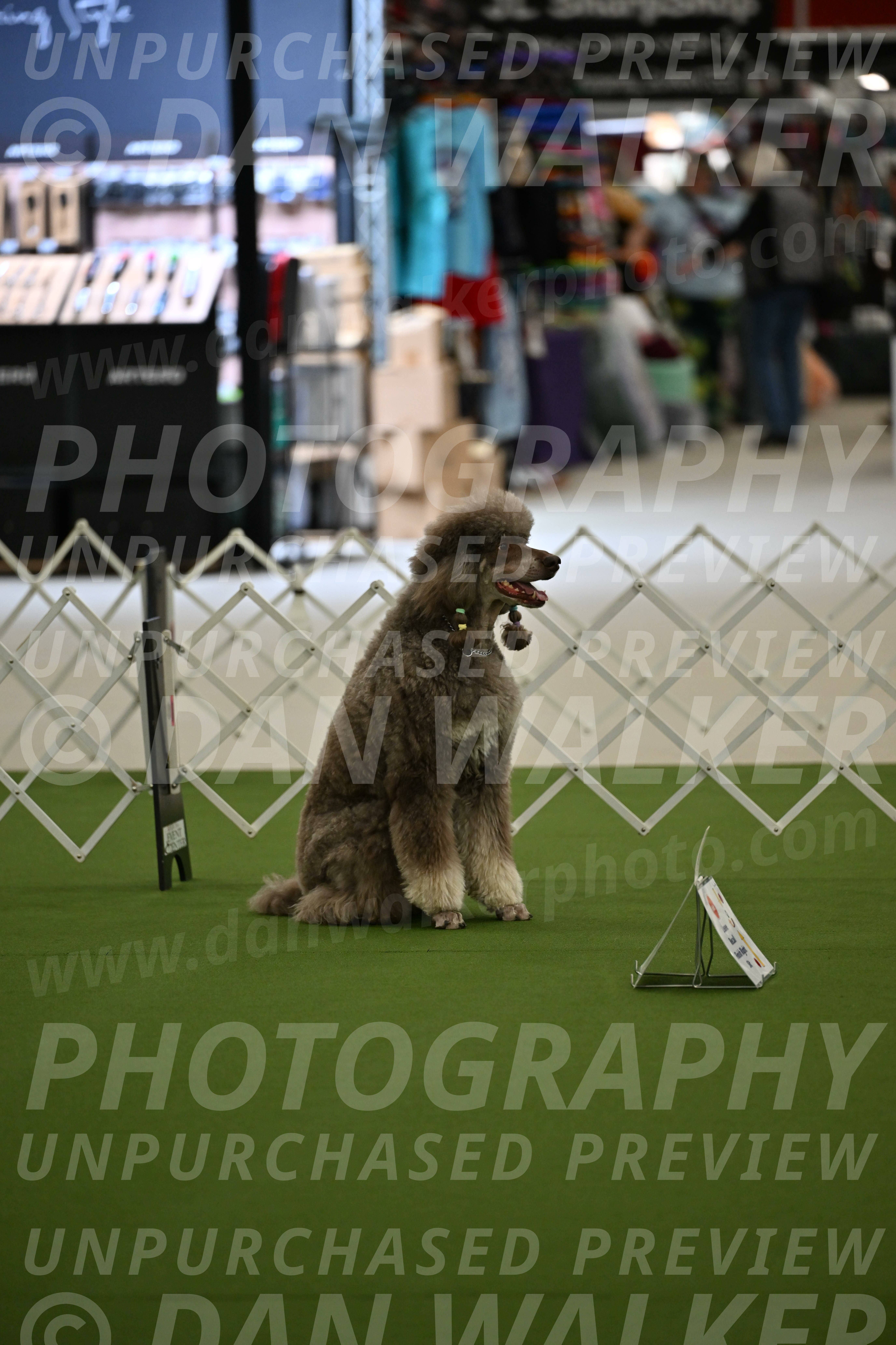 Ring-4-Morning-Rally_0597