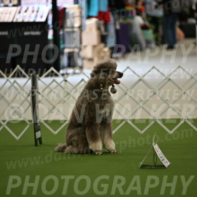 Ring-4-Morning-Rally_0597