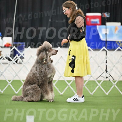 Ring-4-Morning-Rally_0599