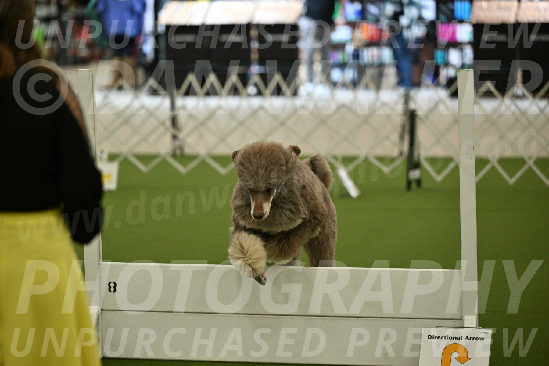 Ring-4-Morning-Rally_0618