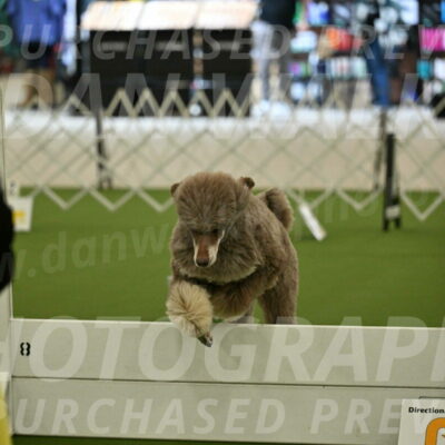 Ring-4-Morning-Rally_0618