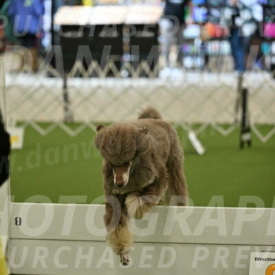 Ring-4-Morning-Rally_0619