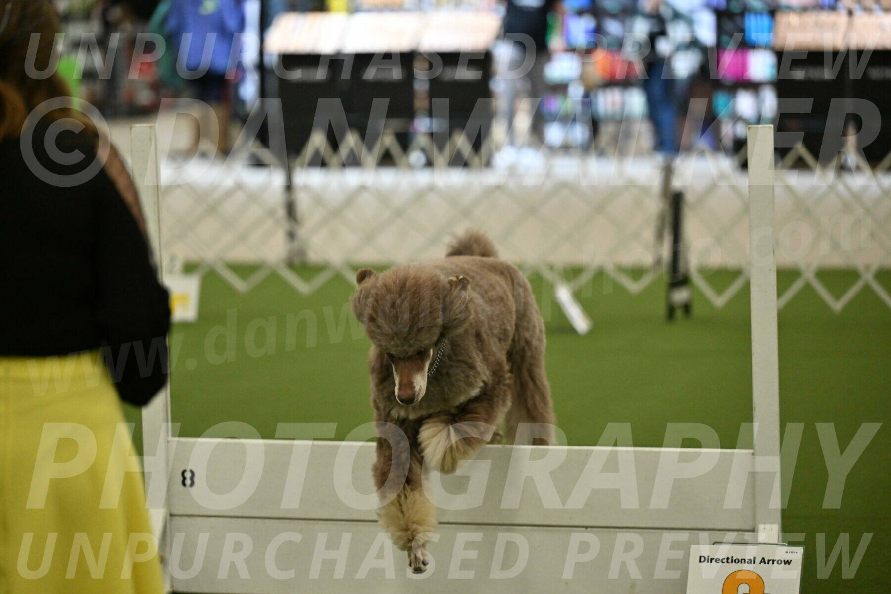 Ring-4-Morning-Rally_0619