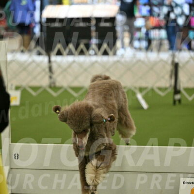 Ring-4-Morning-Rally_0620