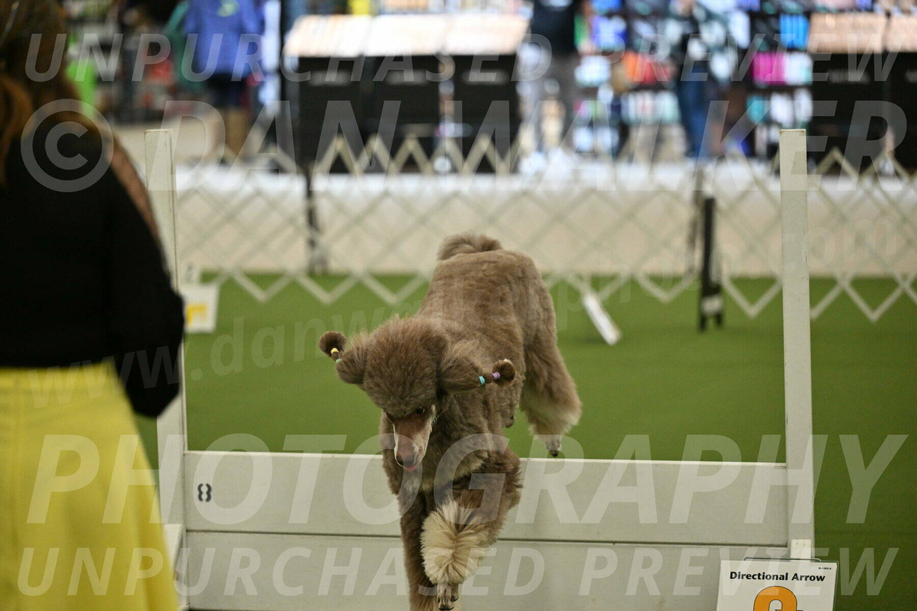 Ring-4-Morning-Rally_0620